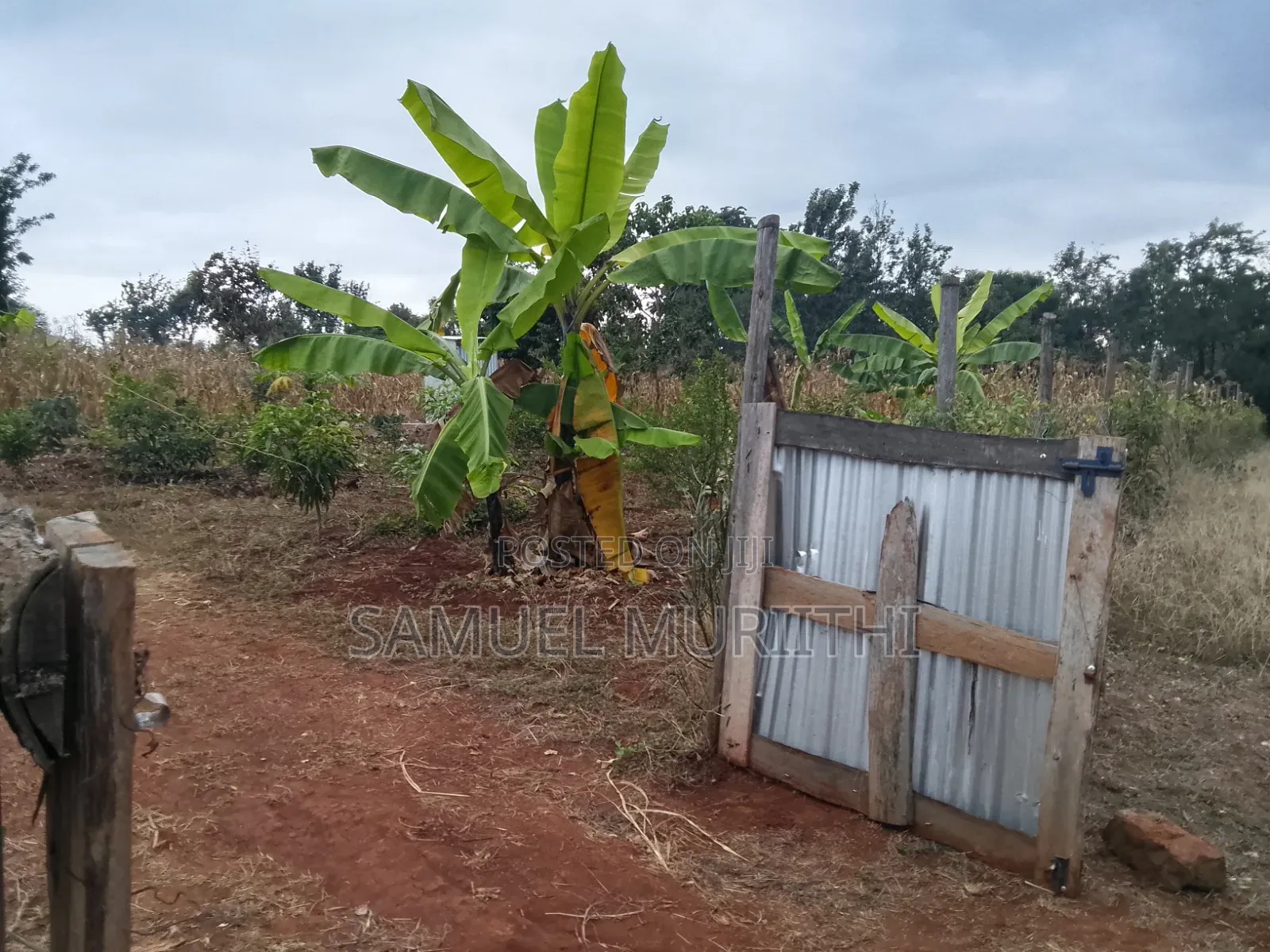 One Acre Land for Sale