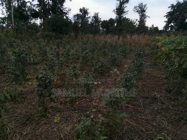 One Acre Land for Sale - thumbnail 10