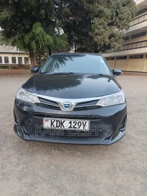 Toyota Corolla Fielder 2016 Black
