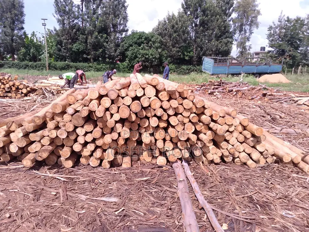 Timber Posts and Poles