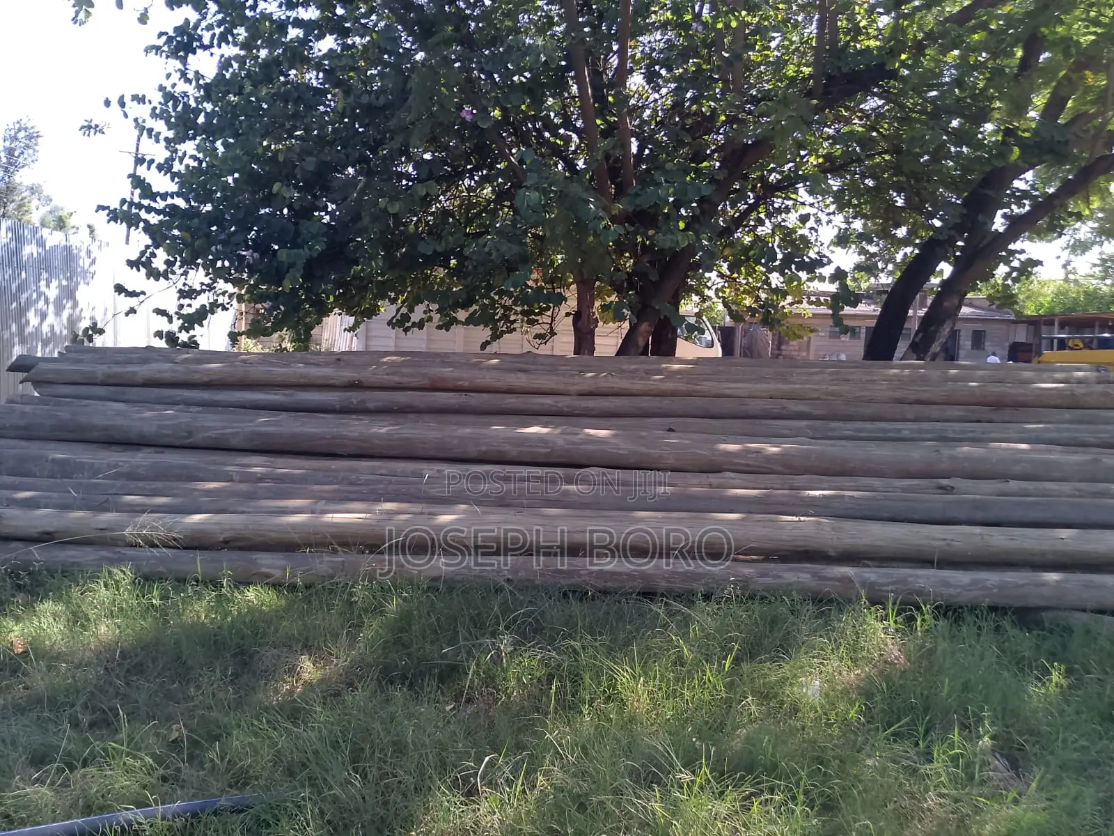 Timber Posts and Poles