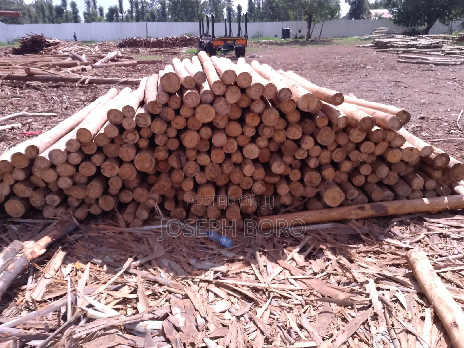 Timber Posts and Poles
