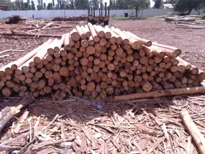 Timber Posts and Poles