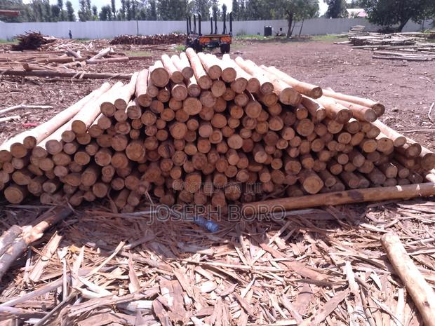 Timber Posts and Poles - thumbnail 2