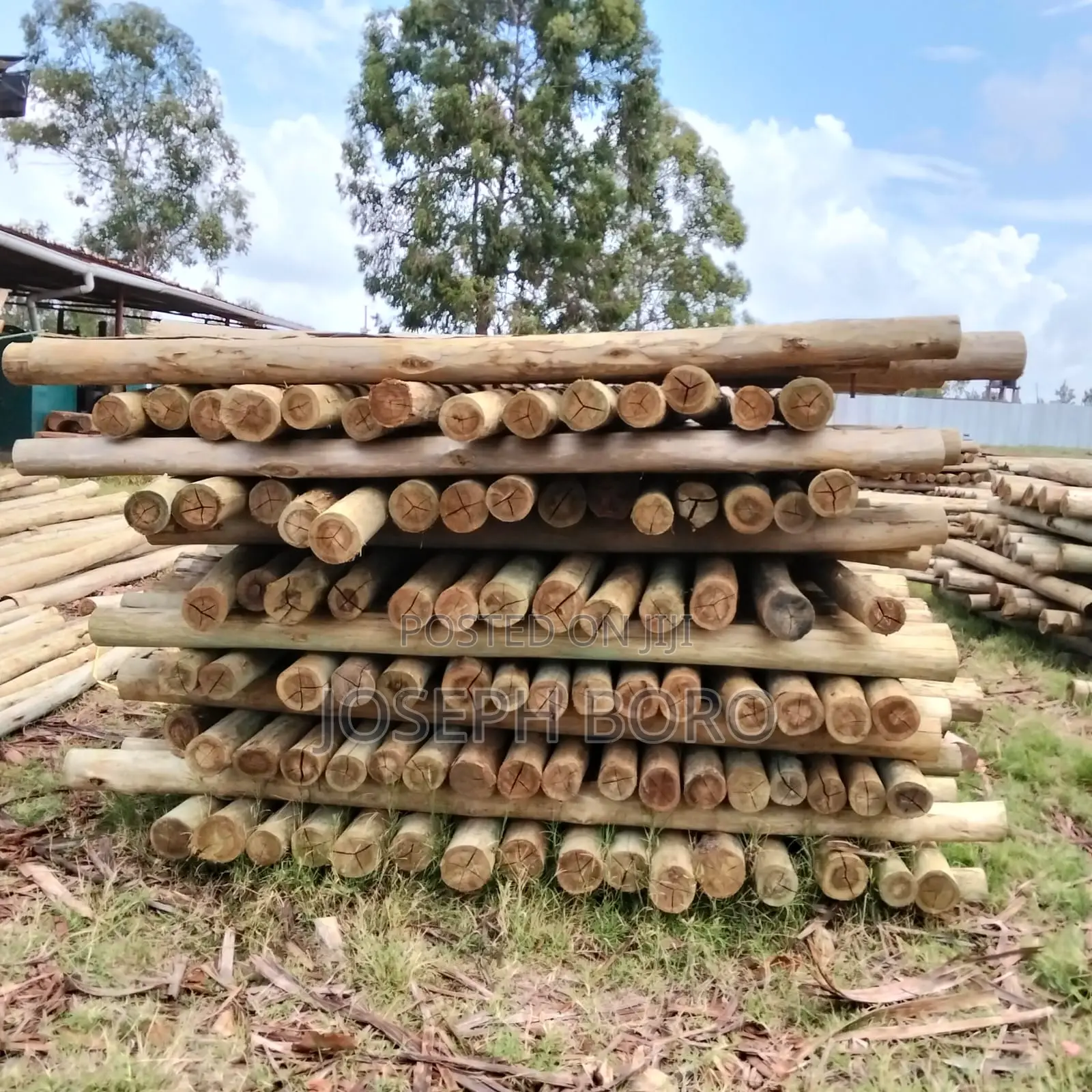 Timber Posts and Poles