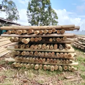 Timber Posts and Poles