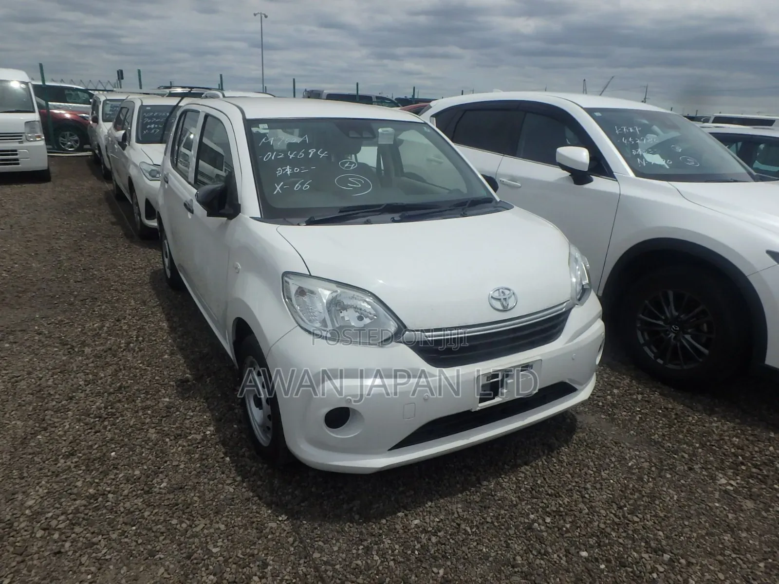 Toyota Passo 2019 White