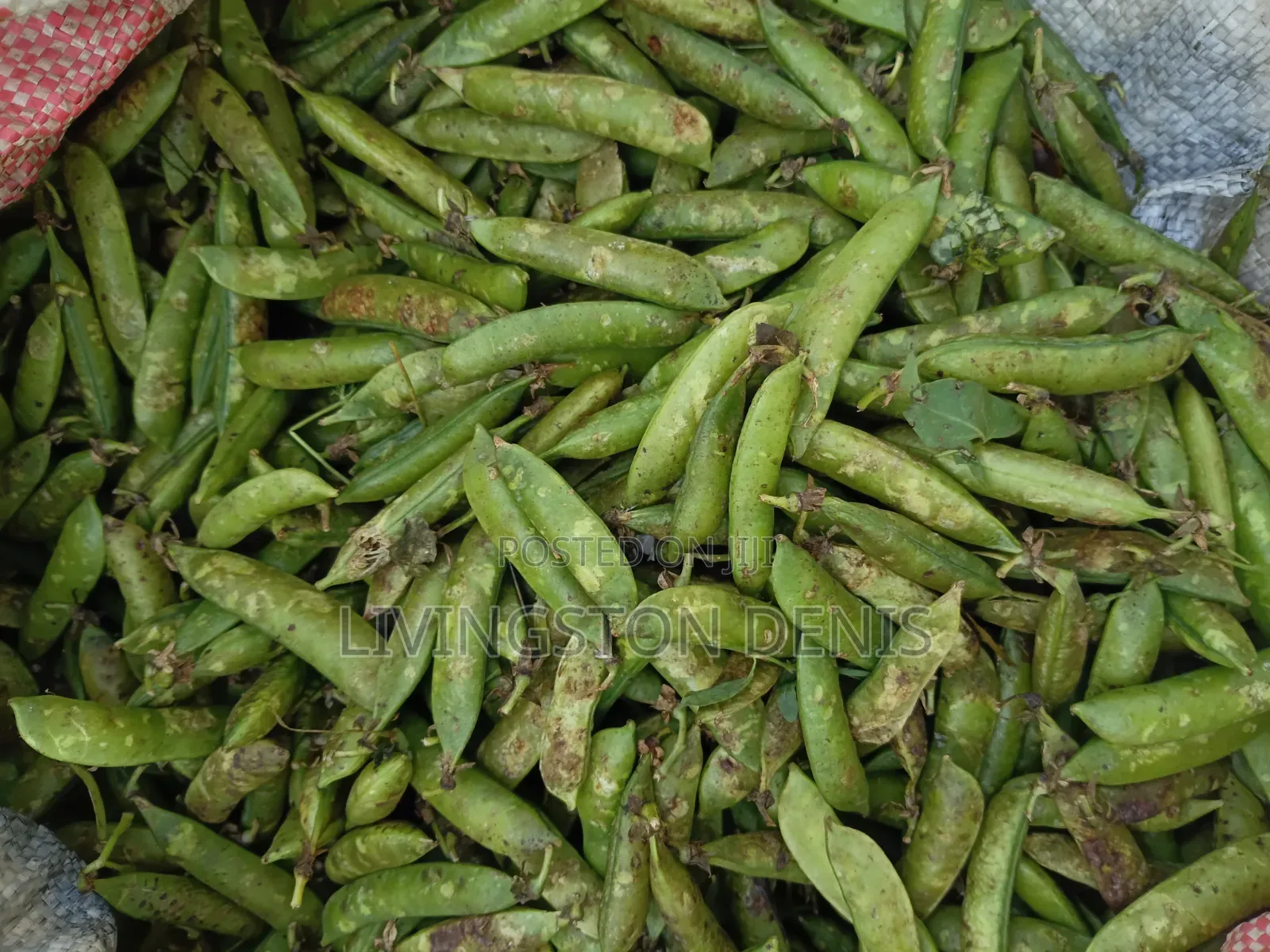 Green Peas