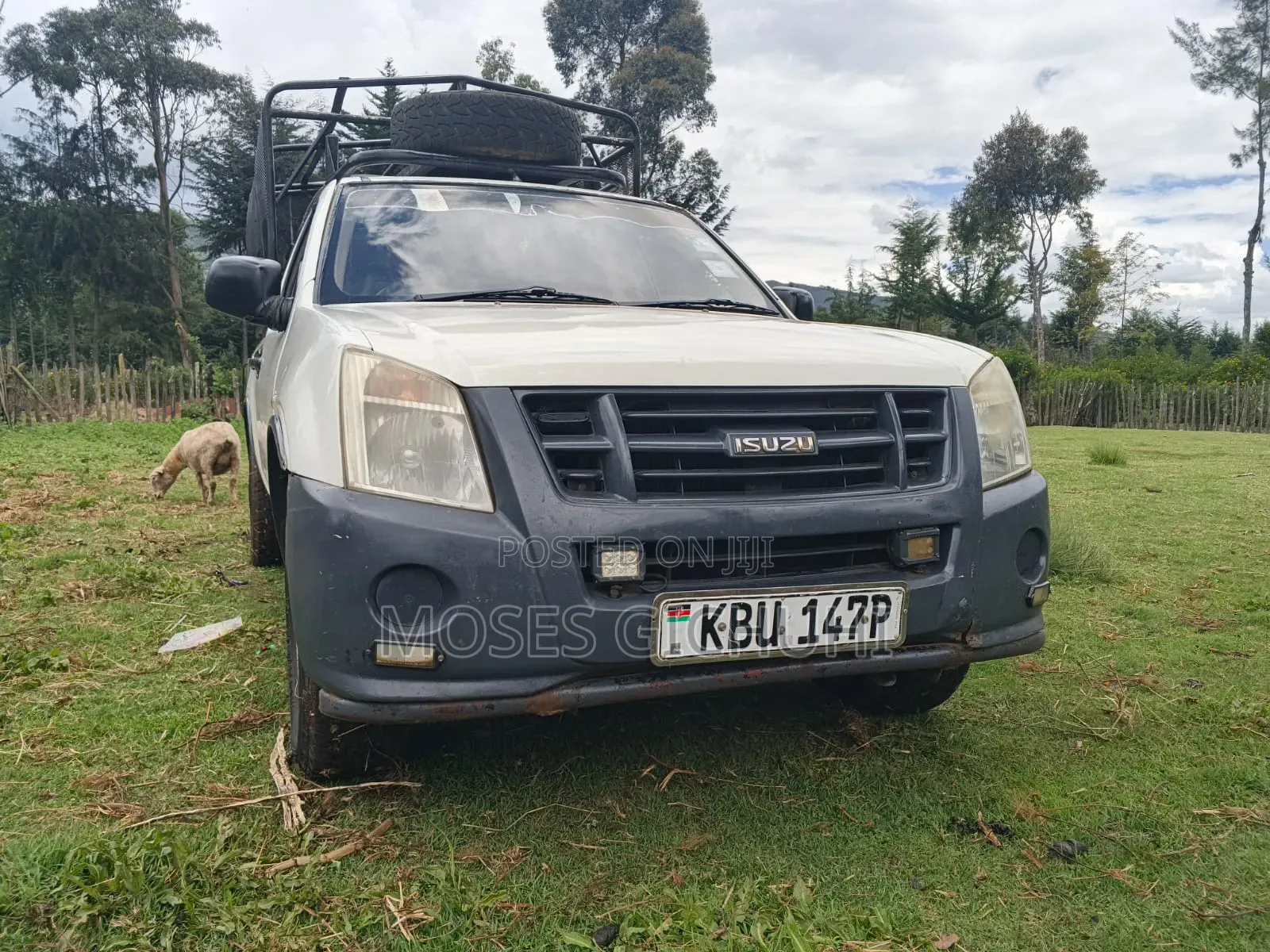 Isuzu D-MAX 2013 White