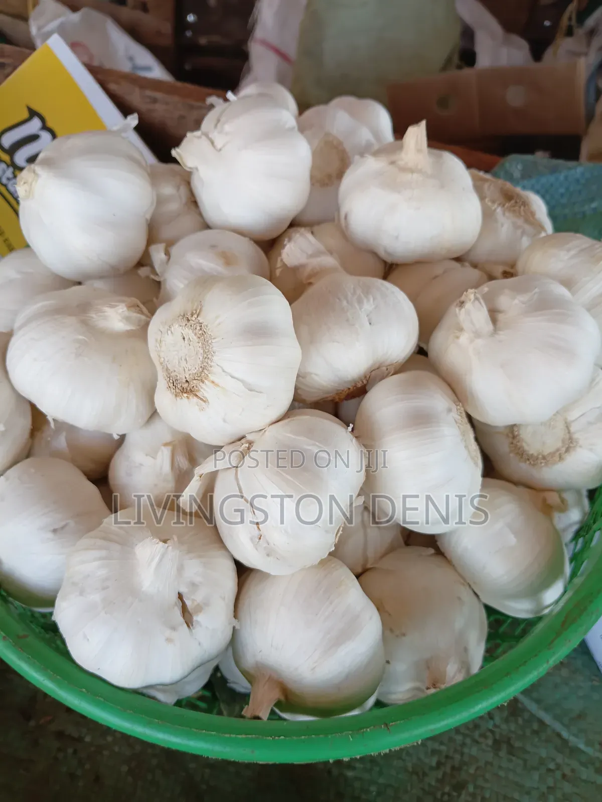 Fresh Garlic