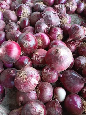Bulb Onions