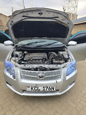 Toyota Axio 2009 Silver