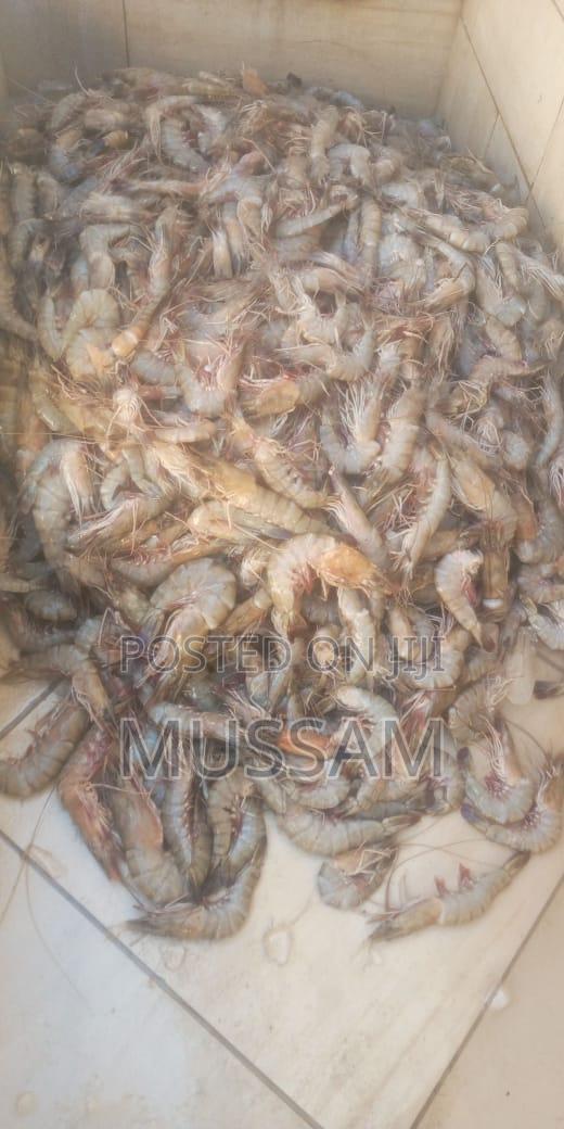 Jumbo Prawns