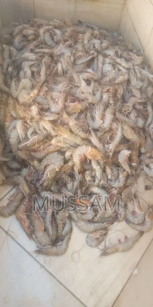 Jumbo Prawns