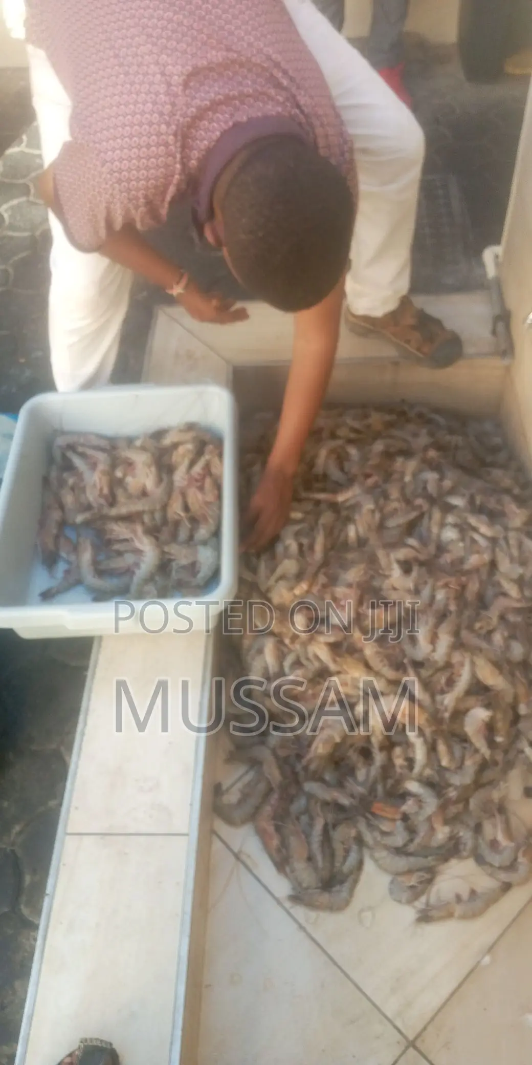 Jumbo Prawns