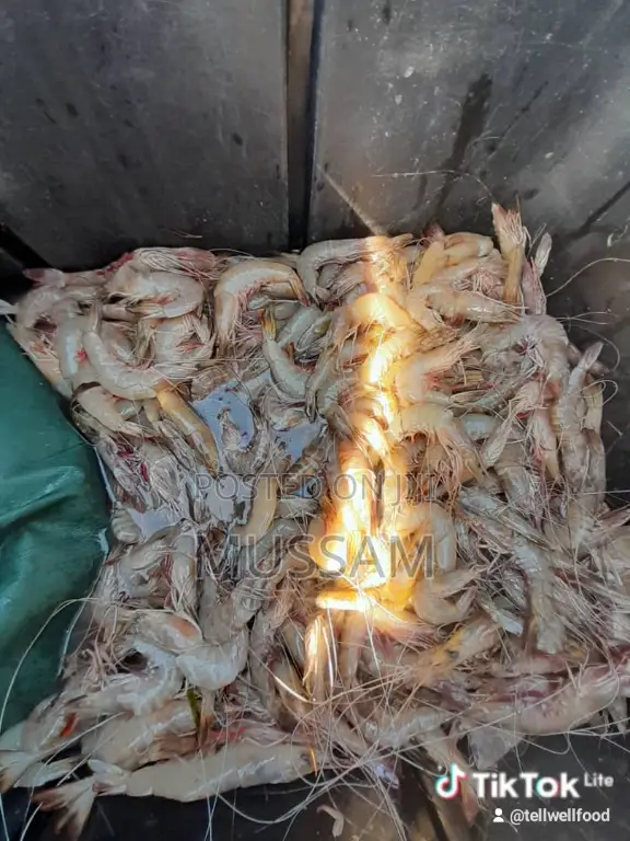 Jumbo Prawns