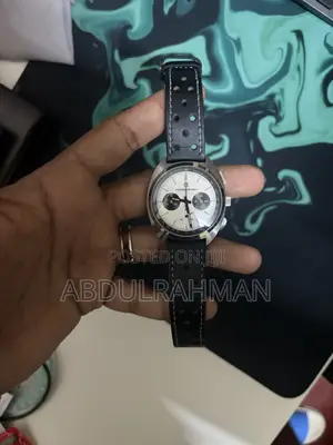 Pagani Design Panda Chronograph Mens Watch
