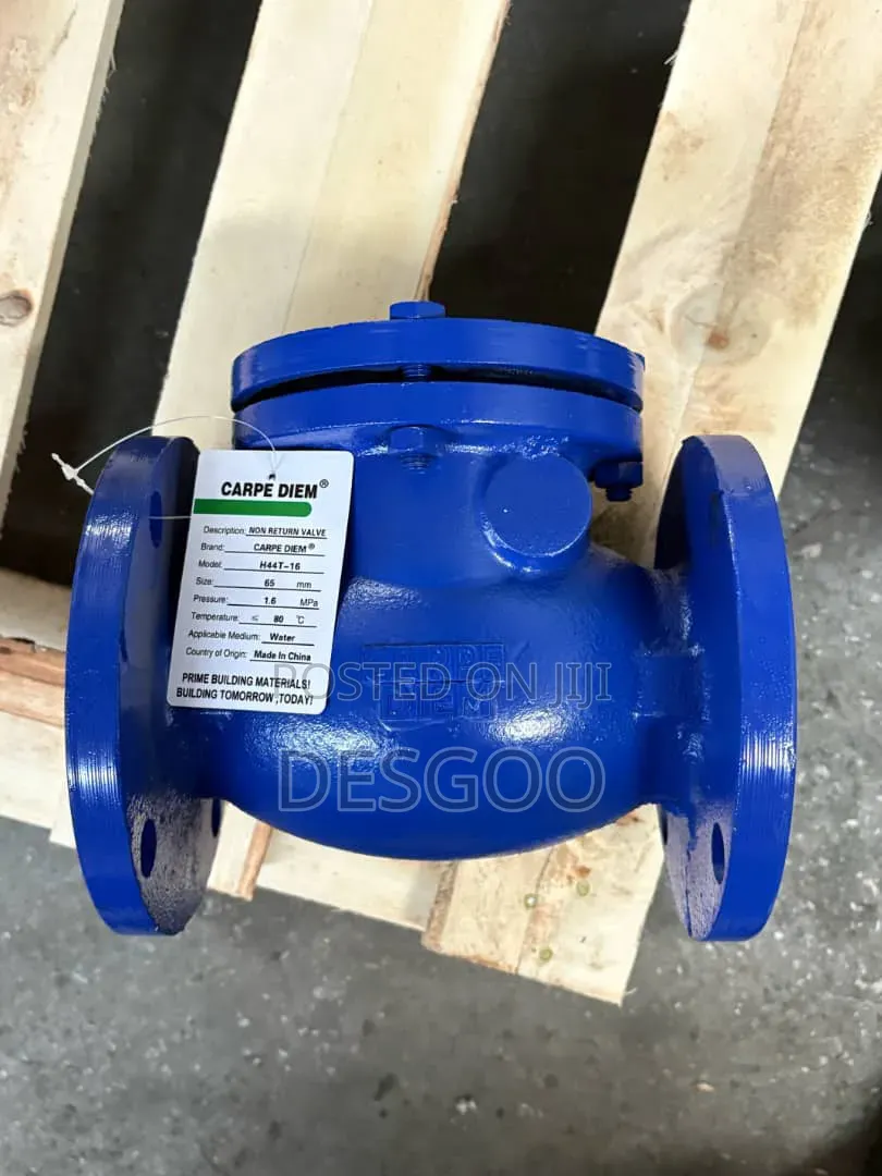 Swing Check Valve 3"