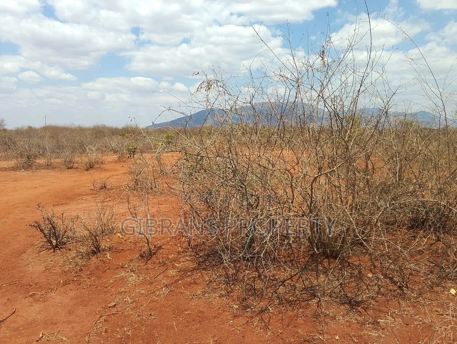 Prime Land for Sale in Vindo - Voi