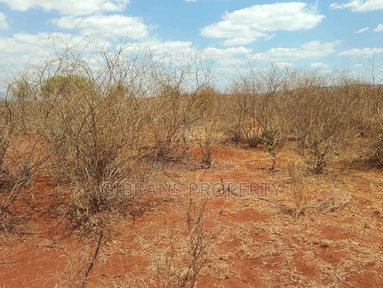 Prime Land for Sale in Vindo - Voi