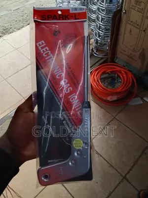 Electric Gas Igniter/Quality Gas Igniter