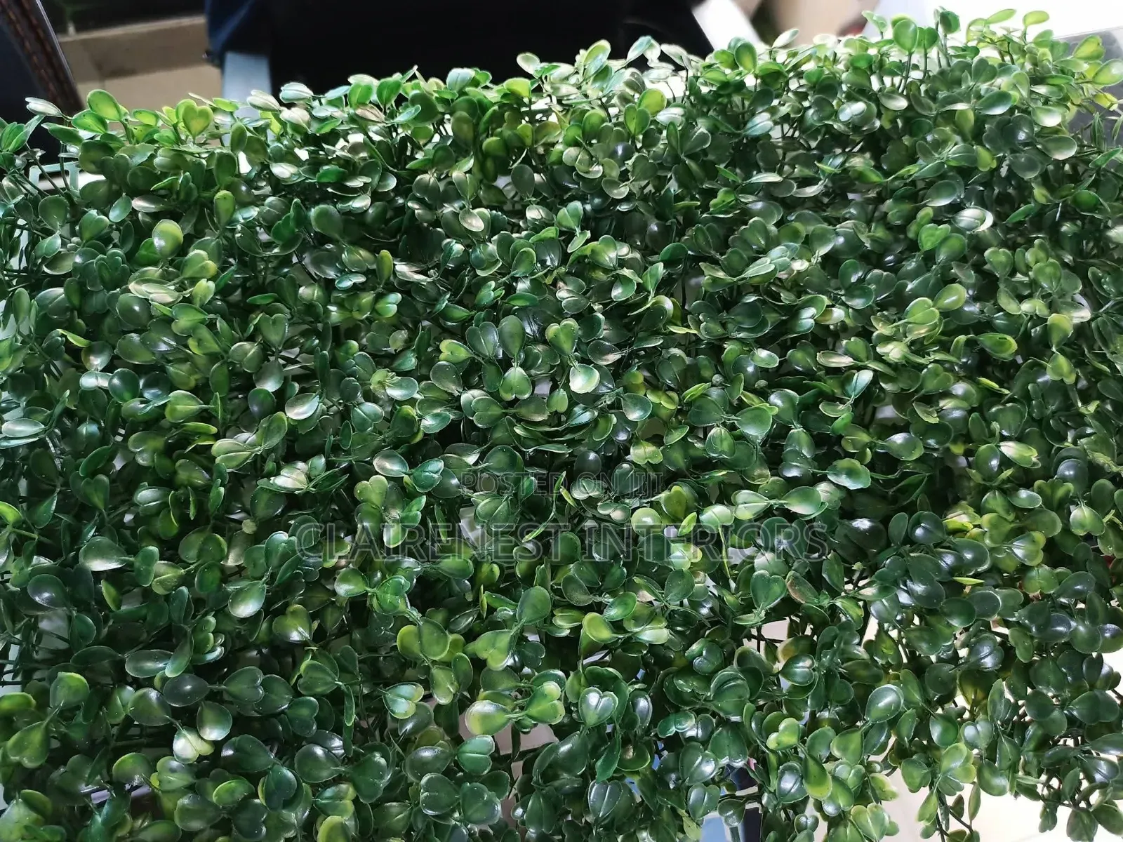 A Stylish Upgrade for Wall Ascents Artificial Boxwood Panels