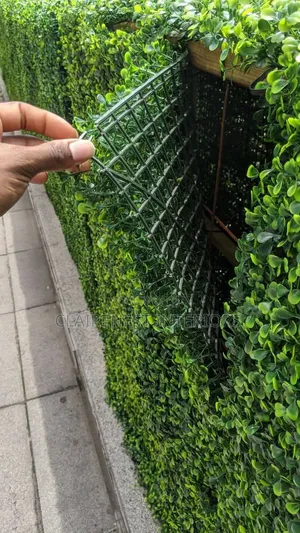 Lush-Looking Solution for Open Spaces With Boxwood Hedge Panels