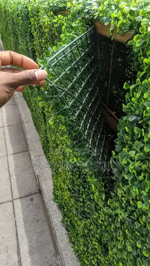 Lush-Looking Solution for Open Spaces With Boxwood Hedge Panels