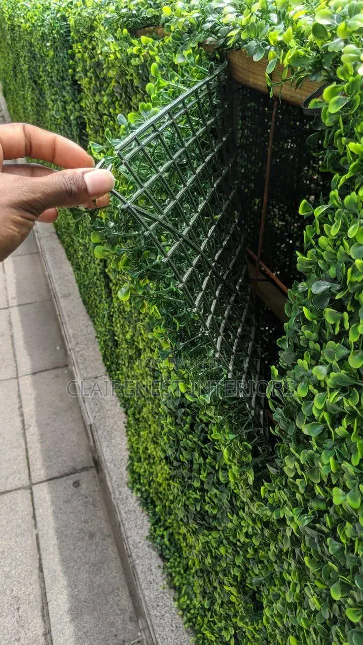 Lush-Looking Solution for Open Spaces With Boxwood Hedge Panels