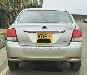 Toyota Axio 2014 Silver