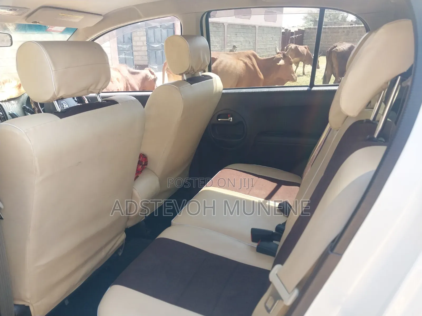 Toyota Passo 2015 White