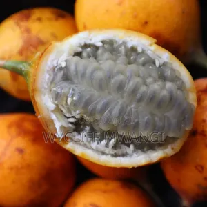 Granadila Passion Fruit Seedlings