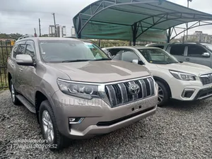Toyota Land Cruiser Prado 2.8 2019 Brown