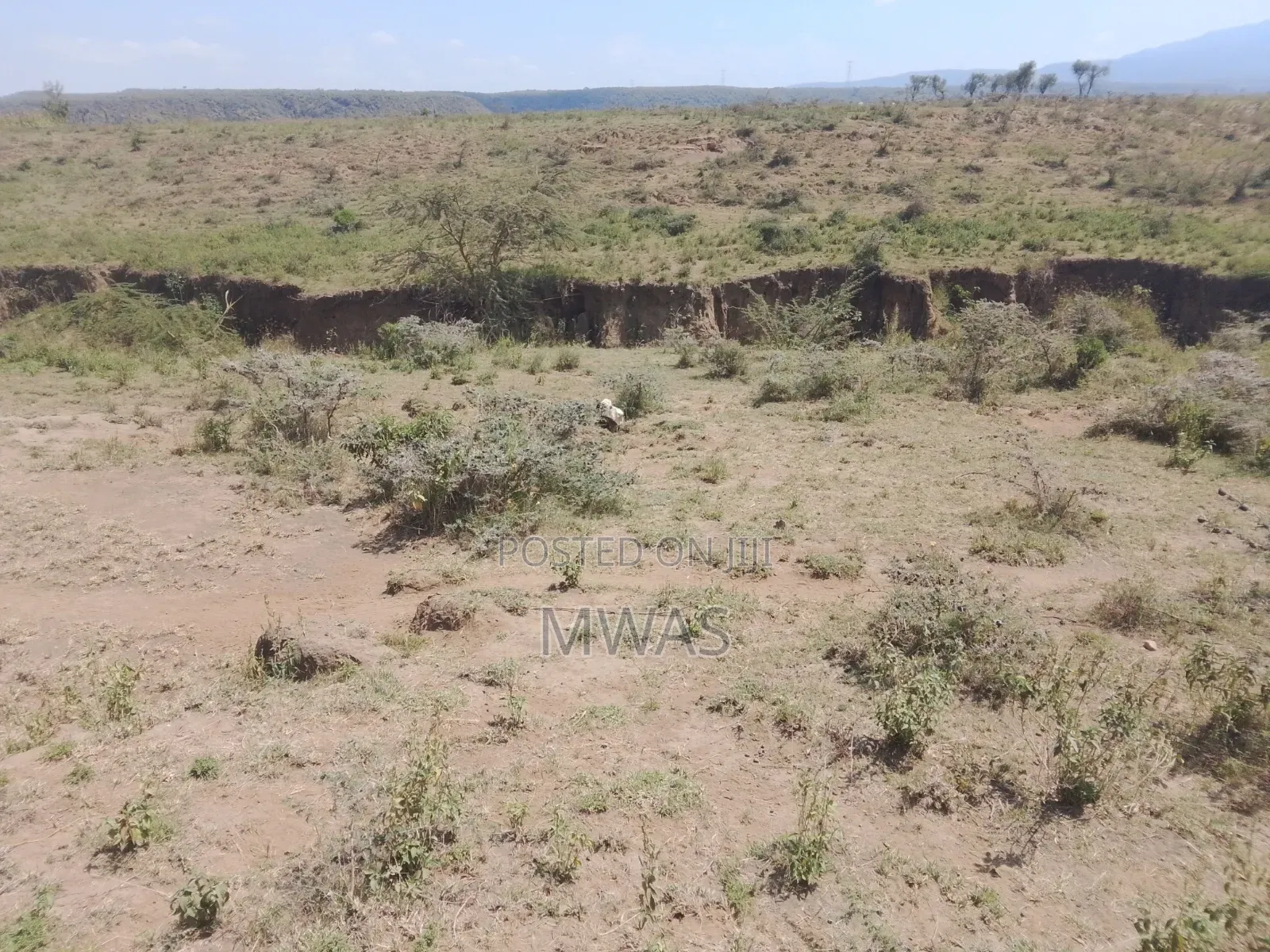 2.5 Acres Mai Mahiu