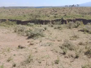 2.5 Acres Mai Mahiu