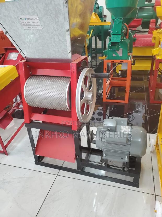 Milano Italia High Quality Coffee Pulper Machine With 3 HP Motor