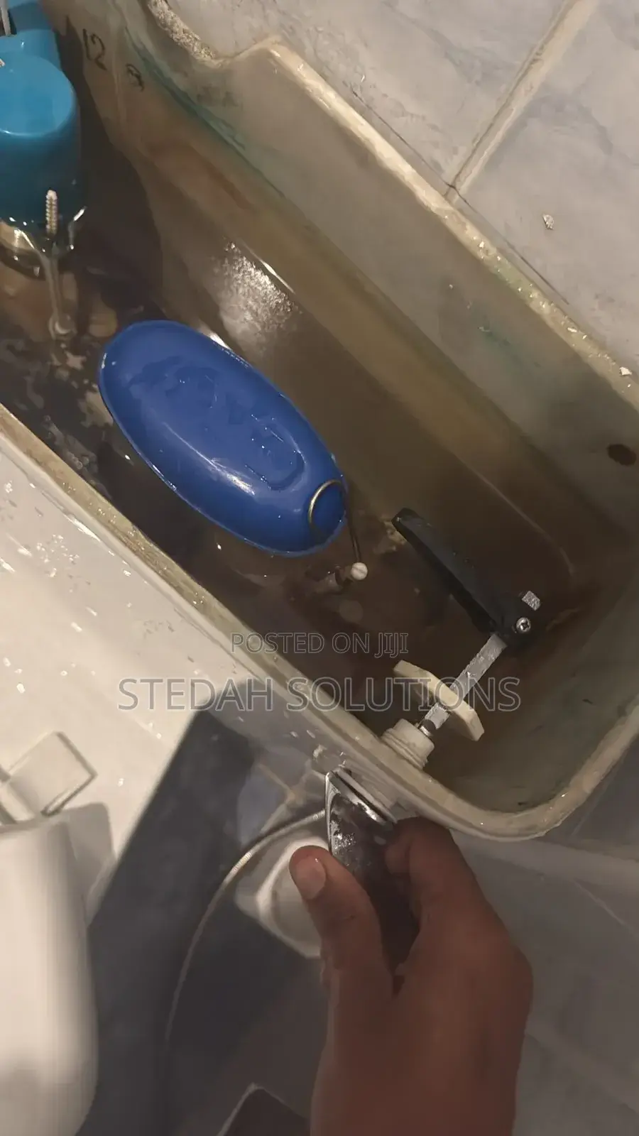 Plumber-Burst/Cracked Pipes/Sewer Line