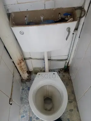 Plumber-Burst/Cracked Pipes/Sewer Line