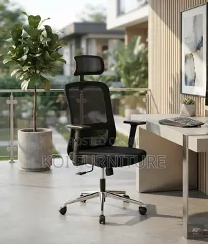 Office Chair; Ergonomic Ergo Office Chairs