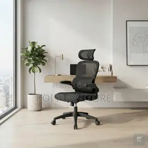 Office Chairs; Orthopedic Klare Office Chair