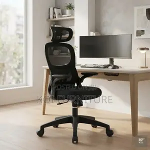 Office Chairs; Orthopedic Klare Office Chair