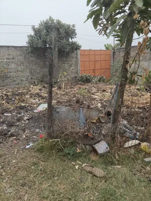 Mwihoko Plot 40x50