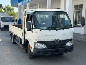 Hino Dutro Dyna 2019 3000cc