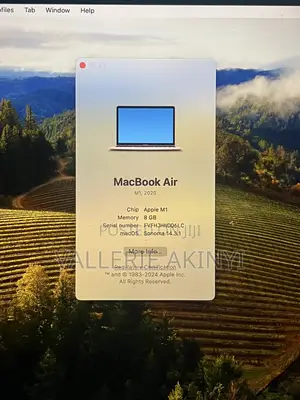 Laptop Apple MacBook Air 8GB Apple M1 SSD 256GB