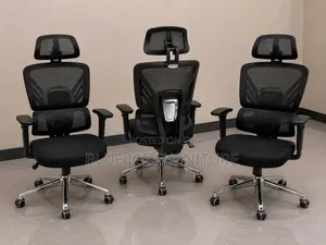 Ergonomic Executive Mesh Office Chair With Headrest