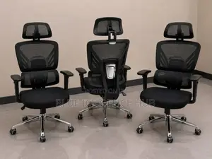 Ergonomic Executive Mesh Office Chair With Headrest