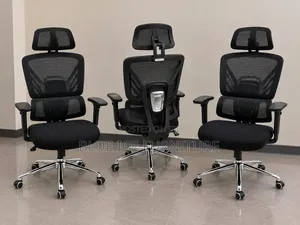Ergonomic Executive Mesh Office Chair With Headrest