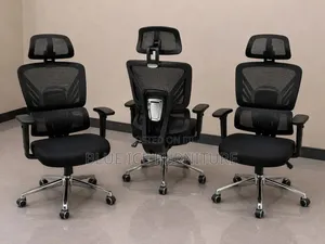 Ergonomic Executive Mesh Office Chair With Headrest