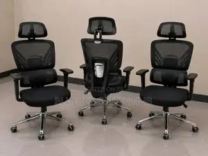 Ergonomic Executive Mesh Office Chair With Headrest