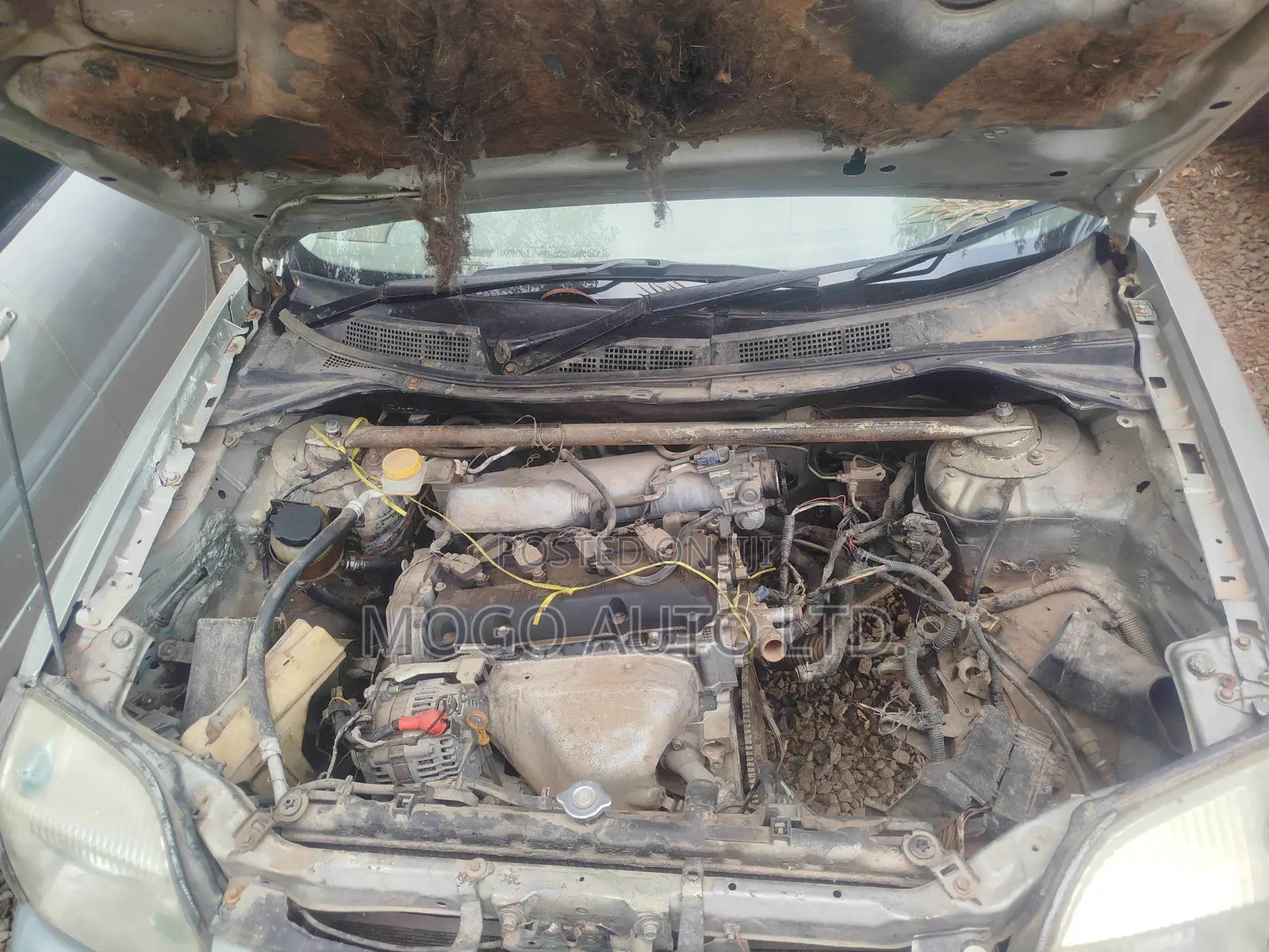 Nissan X-Trail 2002 Silver